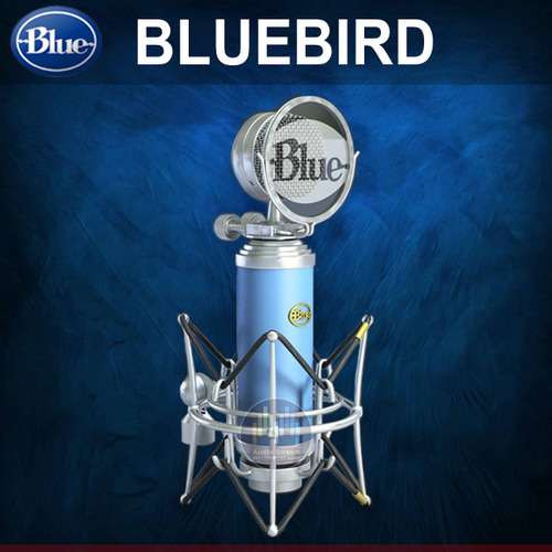 [BLUE 블루버드] BLUEBIRD 스튜디오 콘덴서 마이크/신형패키지 가격대 퀄리티가 뛰어나고 검증된 모델/BLUE MICROPHONE/블루마이크/베이비보틀/NT1A/NT1/NT1 KIT/UFO 마이크/당일배송